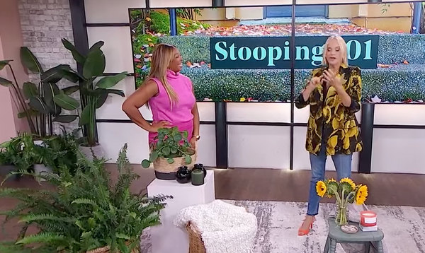 Stooping 101 with Cityline