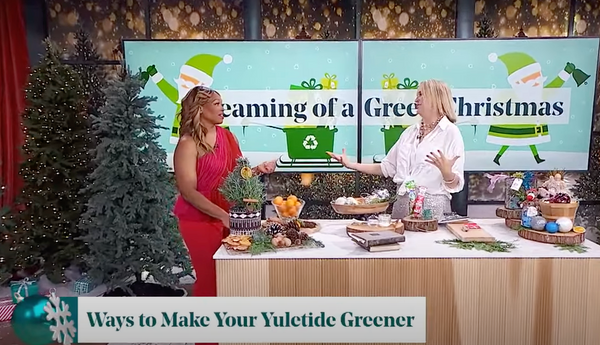 3 Eco-Friendly Ornaments Made From Food Waste with Cityline