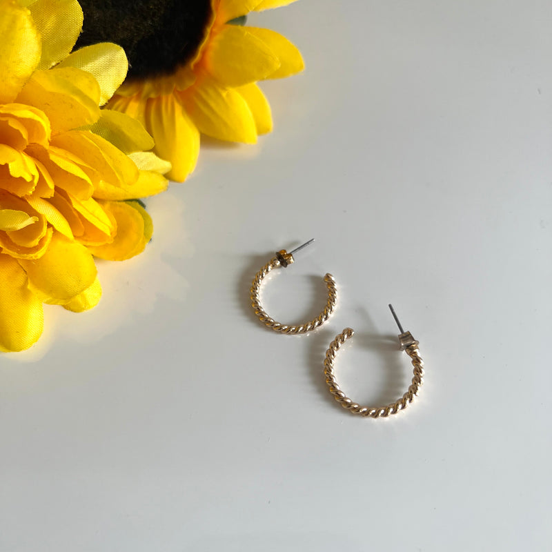 Chic Small Twisted Rope Gold Hoop Earrings