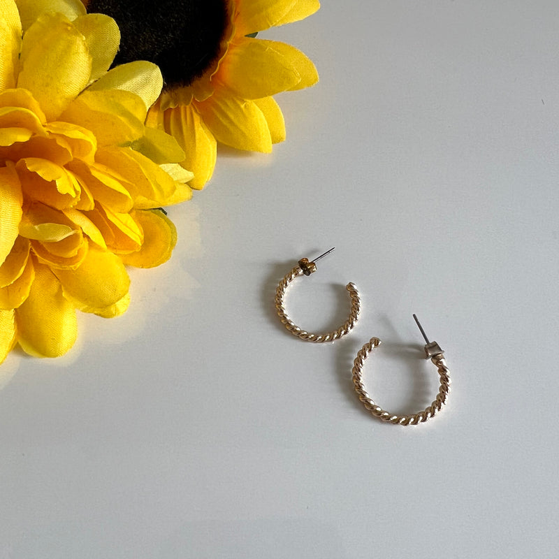Chic Small Twisted Rope Gold Hoop Earrings